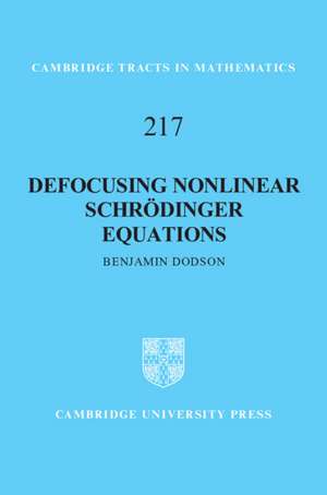 Defocusing Nonlinear Schrödinger Equations de Benjamin Dodson