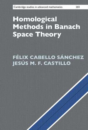 Homological Methods in Banach Space Theory de Félix Cabello Sánchez