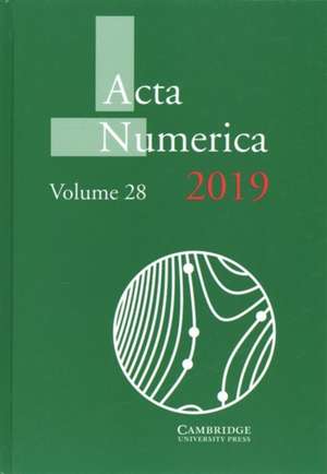 Acta Numerica 2019 de Arieh Iserles