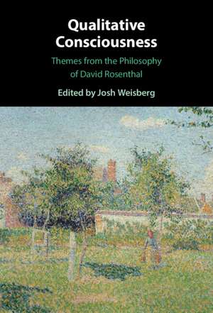 Qualitative Consciousness: Themes from the Philosophy of David Rosenthal de Josh Weisberg