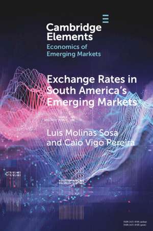 Exchange Rates in South America's Emerging Markets de Luis Molinas Sosa