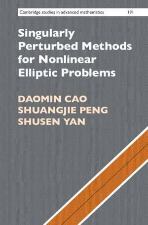 Singularly Perturbed Methods for Nonlinear Elliptic Problems de Daomin Cao