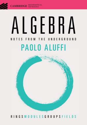 Algebra: Notes from the Underground de Paolo Aluffi