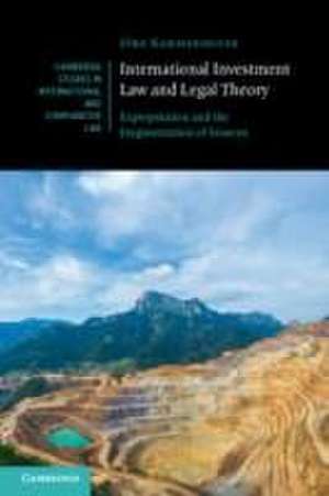 International Investment Law and Legal Theory de Jörg Kammerhofer