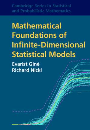 Mathematical Foundations of Infinite-Dimensional Statistical Models de Evarist Giné