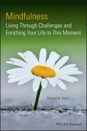 Mindfulness – Living Through Challenges and Enriching Your Life In This Moment de R Sears