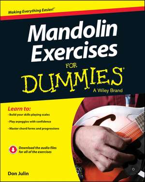 Mandolin Exercises For Dummies de Don Julin