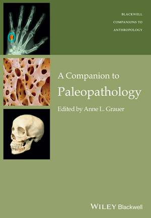 A Companion to Paleopathology de AL Grauer