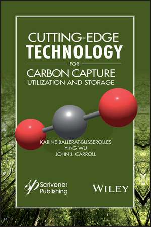 Cutting–Edge Technology for Carbon Capture, Utilization, and Storage de Karine Ballerat–Busserolles