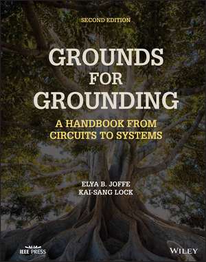 Grounds for Grounding de Elya B Joffe