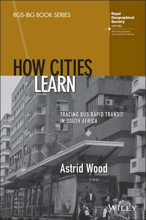 How Cities Learn de Astrid Wood