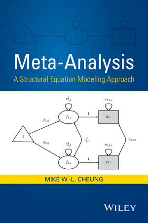 Meta–Analysis – A Structural Equation Modeling Approach de M W Cheung