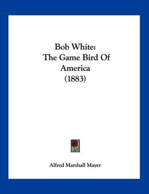 Bob White de Alfred Marshall Mayer