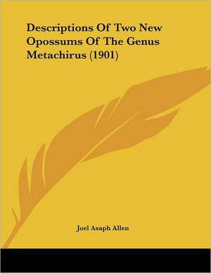 Descriptions Of Two New Opossums Of The Genus Metachirus (1901) de Joel Asaph Allen