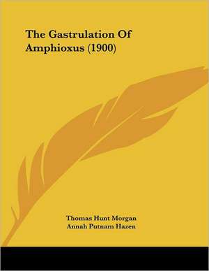 The Gastrulation Of Amphioxus (1900) de Thomas Hunt Morgan