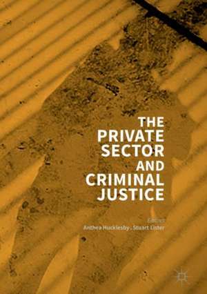 The Private Sector and Criminal Justice de Anthea Hucklesby