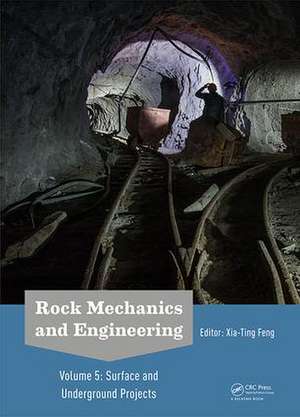 Rock Mechanics and Engineering Volume 5: Surface and Underground Projects de Xia-Ting Feng