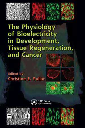 The Physiology of Bioelectricity in Development, Tissue Regeneration and Cancer de Christine E. Pullar