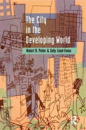 The City in the Developing World de Robert B. Potter