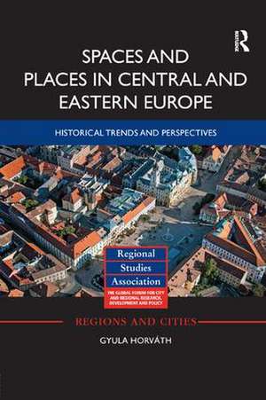 Spaces and Places in Central and Eastern Europe: Historical Trends and Perspectives de Gyula Horváth