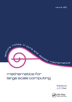 Mathematics for Large Scale Computing de Julio Diaz