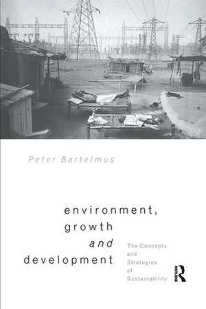 Environment, Growth and Development: The Concepts and Strategies of Sustainability de Peter Bartelmus