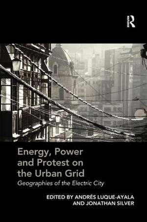 Energy, Power and Protest on the Urban Grid: Geographies of the Electric City de Andres Luque-Ayala