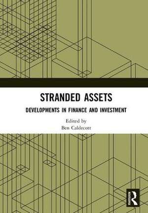 Stranded Assets: Developments in Finance and Investment de Ben Caldecott