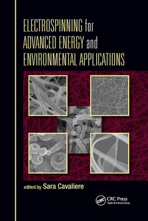 Electrospinning for Advanced Energy and Environmental Applications de Sara Cavaliere