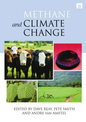 Methane and Climate Change de Dave Reay