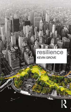 Resilience de Kevin Grove