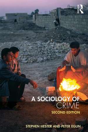 A Sociology of Crime: Second edition de Stephen Hester