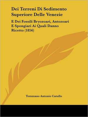 Dei Terreni Di Sedimento Superiore Delle Venezie de Tommaso Antonio Catullo