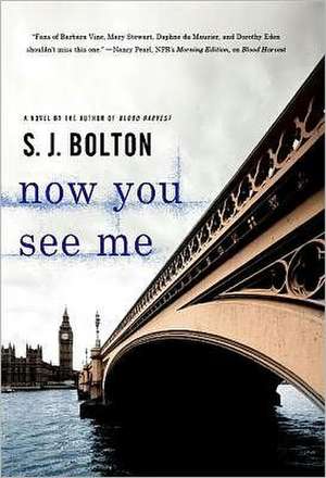 Now You See Me de S.J. Bolton