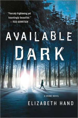 Available Dark de Elizabeth Hand