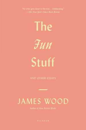 FUN STUFF de James Wood