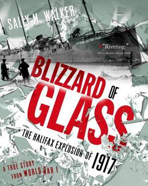 Blizzard of Glass: The Halifax Explosion of 1917 de Sally M Walker