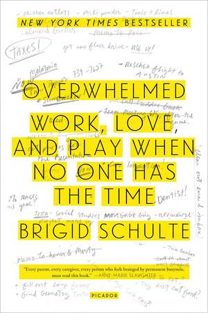 Overwhelmed: How to Work, Love, and Play When No One Has the Time de Brigid Schulte