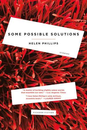 Some Possible Solutions de Helen Phillips