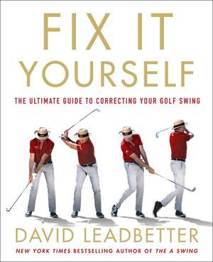 Fix It Yourself de David Leadbetter