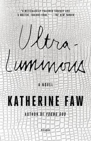 Ultraluminous de Katherine Faw