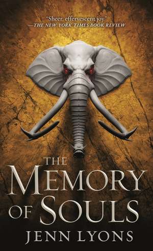 The Memory of Souls de Jenn Lyons