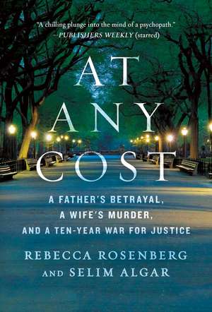 At Any Cost de Rebecca Rosenberg