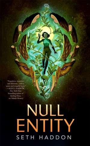Null Entity de Seth Haddon