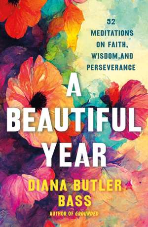 A Beautiful Year de Diana Butler Bass