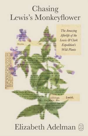 Chasing Lewis's Monkeyflower de Elizabeth Adelman