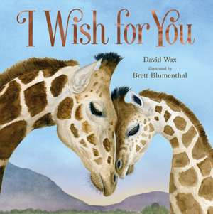 I Wish for You de David Wax