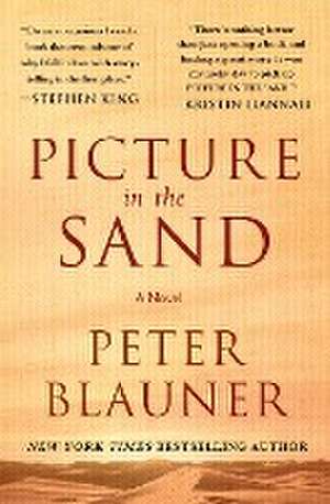 Picture in the Sand de Peter Blauner