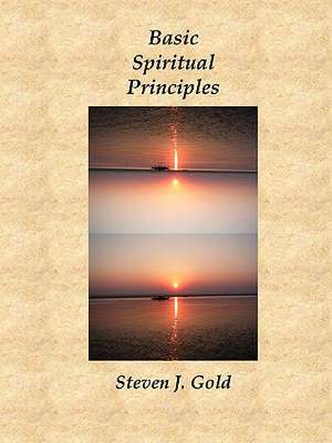 Basic Spiritual Principles de Steven J. Gold