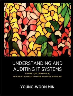 Understanding and Auditing It Systems, Volume 2 (Second Edition): The Missing Pieces to the Co-Parenting Puzzle de Young-Woon Min